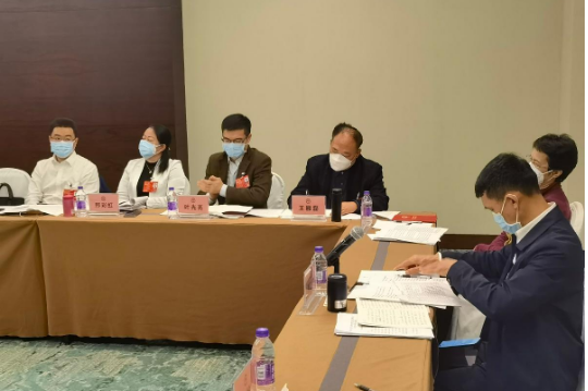 海南省政協(xié)委員王雁磊：盤活破產(chǎn)存量閑置項目資產(chǎn)，擴大內(nèi)需增加投資