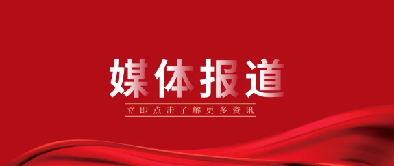 媒體報(bào)道|發(fā)揮專(zhuān)業(yè)優(yōu)勢(shì)助力法治政府建設(shè)